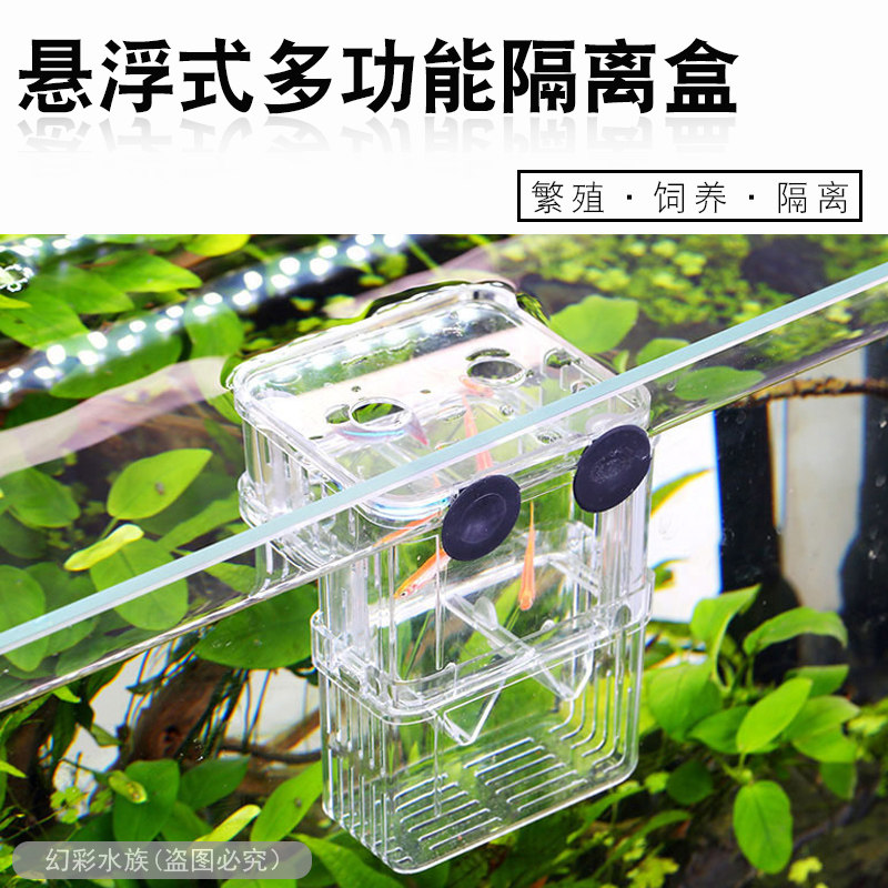 Sensen Guppy Breeding Box Juvenile Fish Tank Isolation Betta Fish Fry Spawner Tropical Fish Acrylic Incubation Box