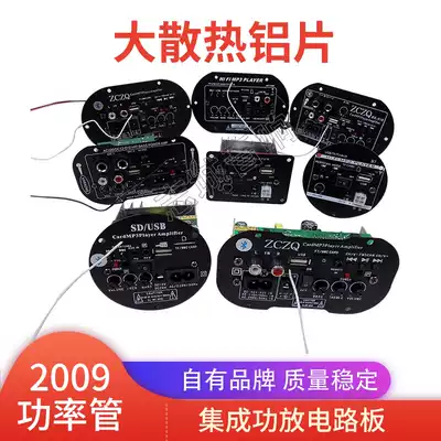 Car bass speaker motherboard 12V24V220V low power amplifier board 4 inch 5 inch 6 inch 8 inch 10 inch audio accessories