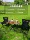 Bàn ghế xếp ngoài trời, bộ dã ngoại và cắm trại di động, thiết bị và vật tư, bàn cuộn trứng đa năng gọn nhẹ