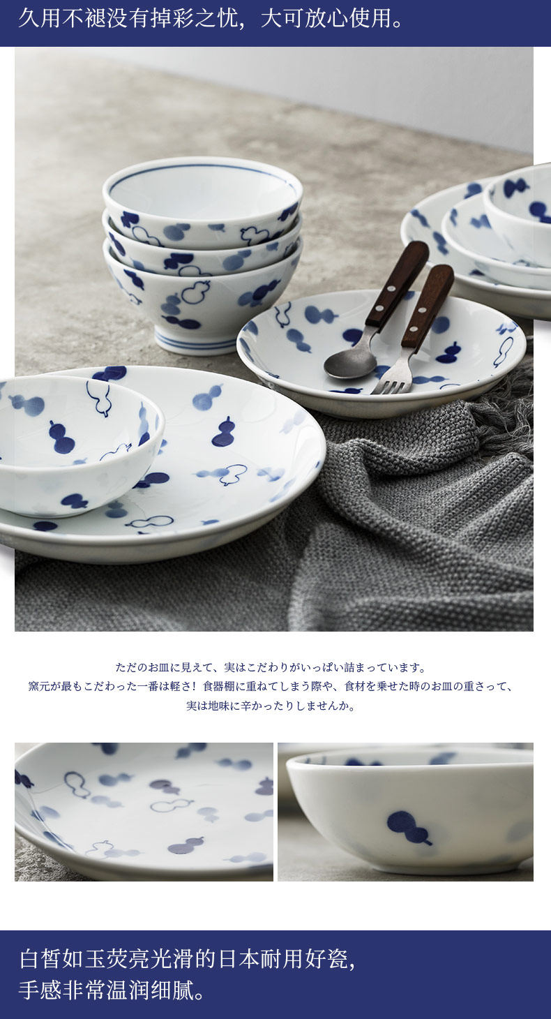 Japanese import dishes suit household European tableware dish bowl suit contracted dishes ceramic bowl 10 combination