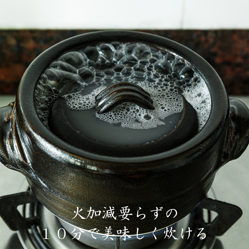 Japan imports earthenware of which up change temmoku soil pot soup rice with pot of rice congee casserole stone bowl