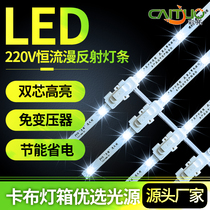 220V high voltage diffuse reflection led light source rainproof roller blind light strip card cloth light box super bright and free drive light strip