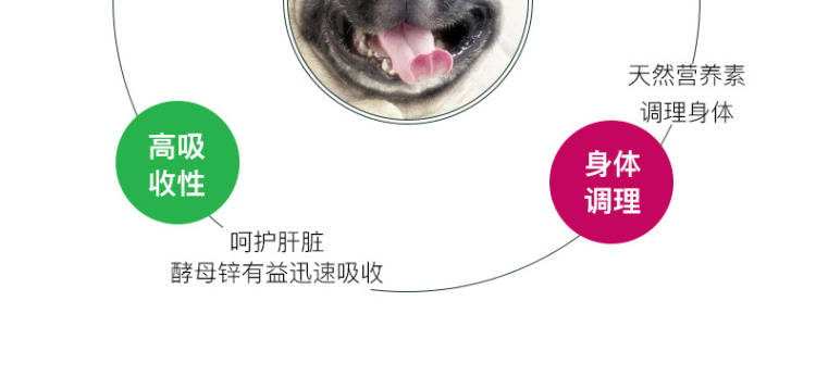 特 安琪儿 phục hồi chức năng gan Viêm gan cổ trướng xơ gan chó dinh dưỡng và các sản phẩm sức khỏe sữa cho chó mèo