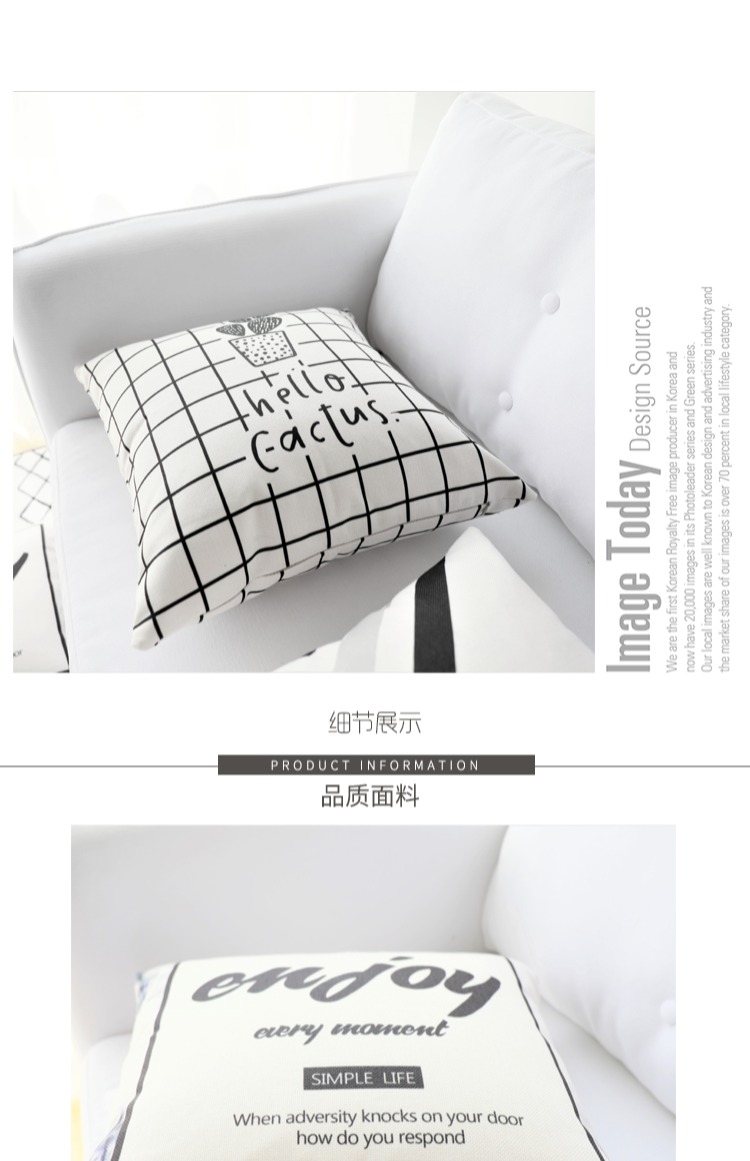 ins nordic đen và trắng sofa tùy chỉnh gối đệm Lesbian xe gối bìa mà không có lõi bằng một phòng khách với một chiếc giường - Trở lại đệm / Bolsters gối tựa lưng cao cấp