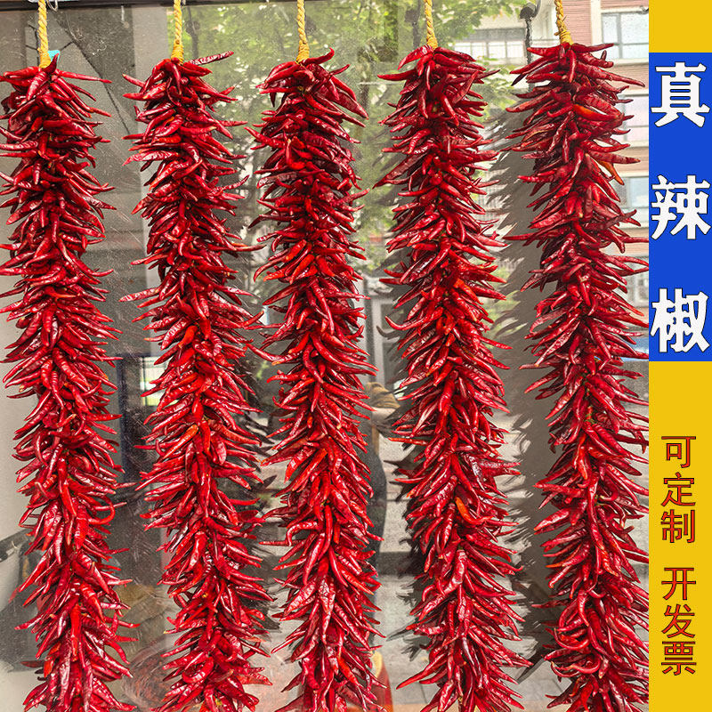 乾燥させた唐辛子の紐は、農家、レストラン、ゲストハウスなどの装飾品として使われます。また、赤唐辛子やバードアイ唐辛子を編み込んだものもあります。