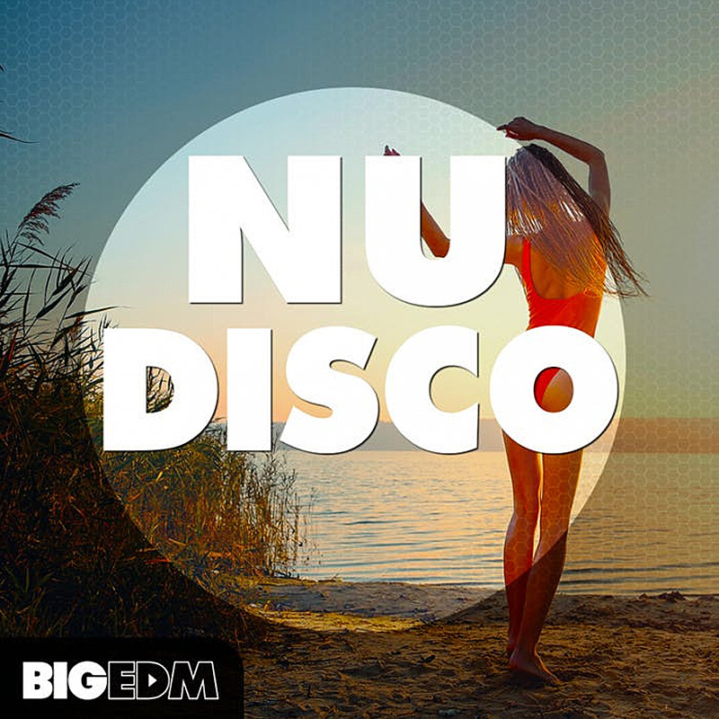 NU Disco Music Sampling Pack BIG EDM Electronic Arrangement Timbre Material (Buy 2 Get 1 Free)
