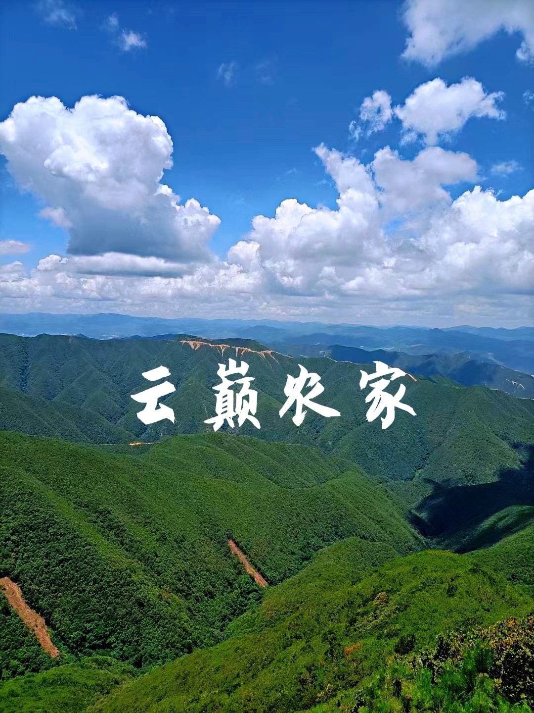 云巅山野农家