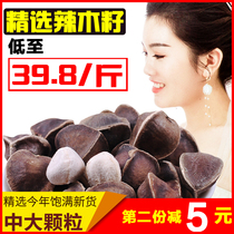 The efficacy and role of Moringa seed fruit India imported special wild fresh edible flagship store 500g