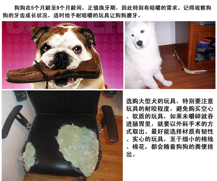 Pet toy mèo vocal toy rò rỉ bóng thực phẩm / cuộc gọi lạ đồ chơi mài răng cho chó