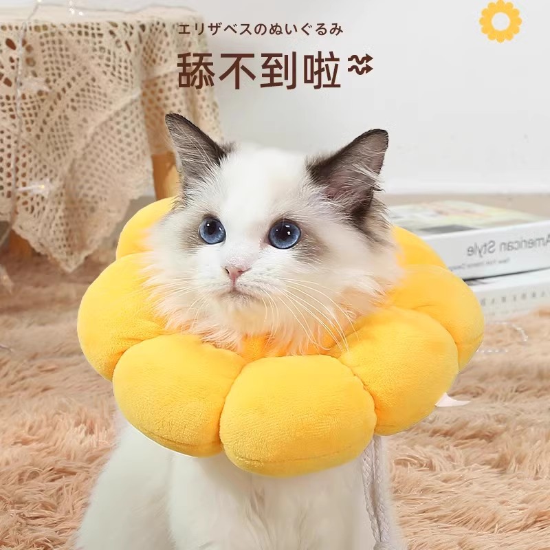 Elizabethan cat sterilization collar anti-licking British short cat collar neck collar headgear universal pet supplies for dogs and cats