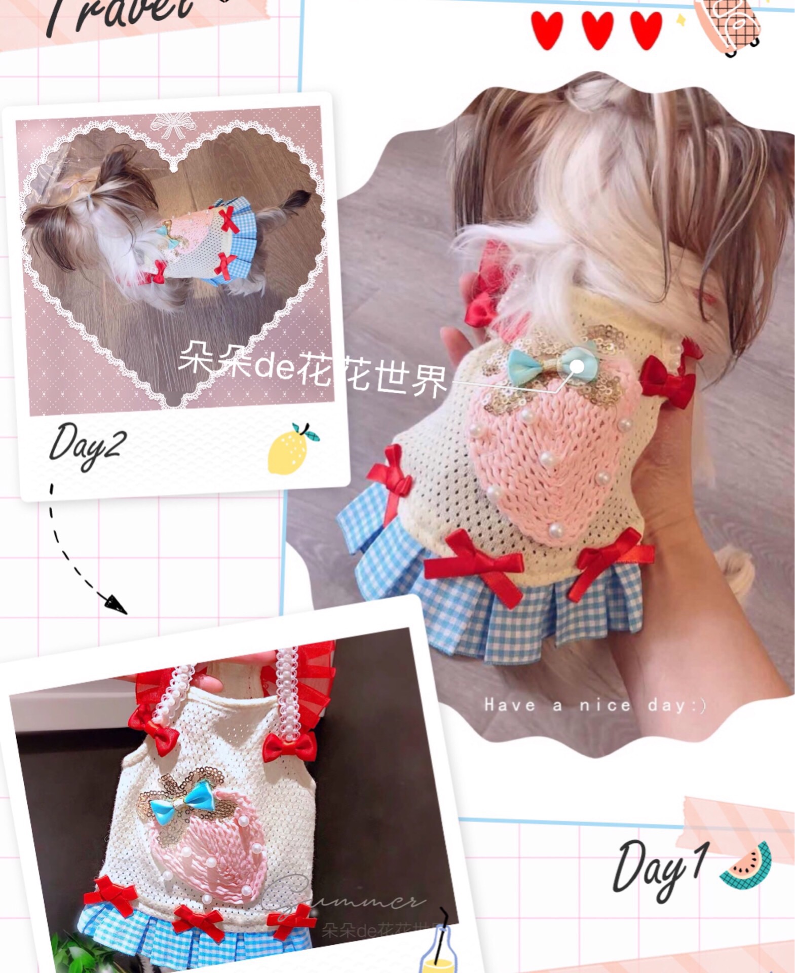 Pet cat and dog spring and summer new Yorkshire pony teddy small dog net red breathable suspender skirt clothes