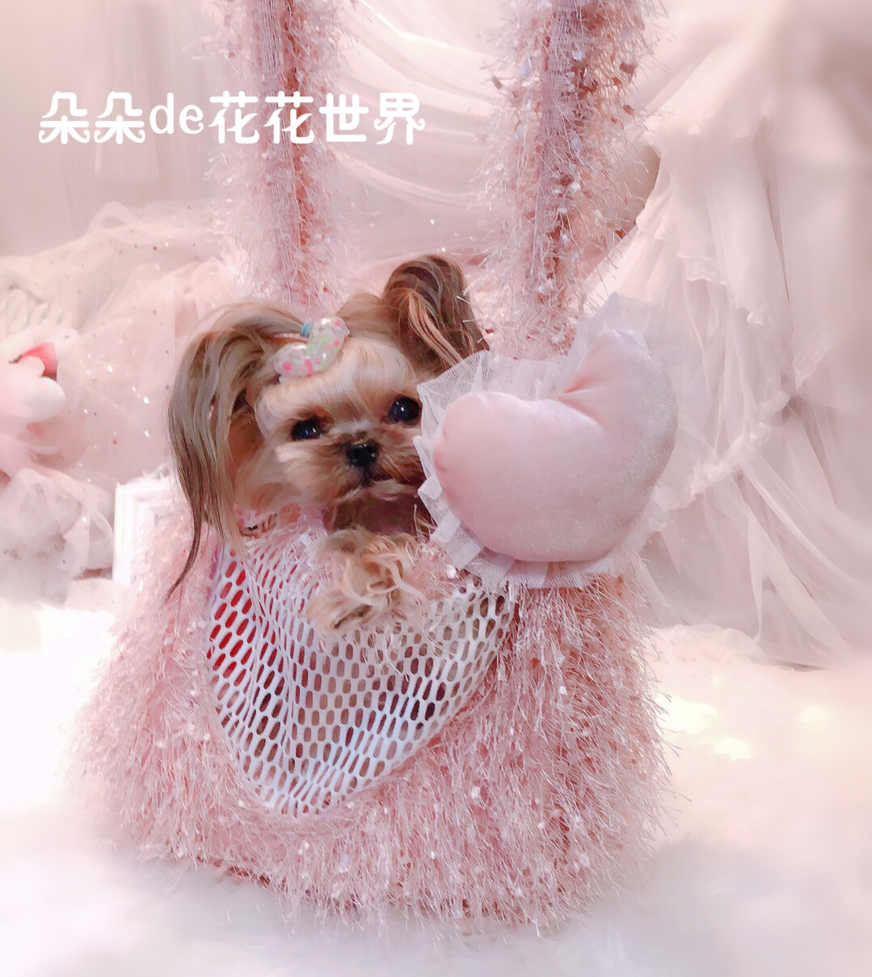 J Pet Dog Teddy York City Portable Package Bag Bag Bag Bag Bag Bag Bag Bag Bag Bag