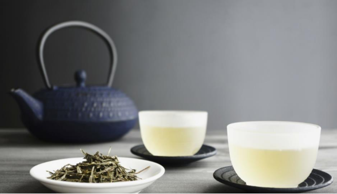 开启健康茶饮养生之道,茶叶你选对了吗?