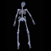 30 90 150cm Luminous Skeleton Halloween Party Decoration