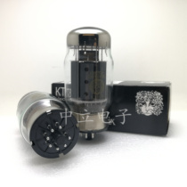 Russia EH KT88 electronic tube imported