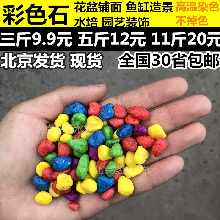 Colour Stones Colorful Stones Colorful Stones Potted Multi-Meat Vegetal planter Ornamental Fish tank Landscaping Gardening Bottom Sand