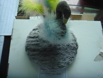 Cat Toys Self-Hi Little Birds Cat Stick Emulation Resistant Bite Tease Cat Seminal Cat Supplies Spot Physical shooting Qingkura