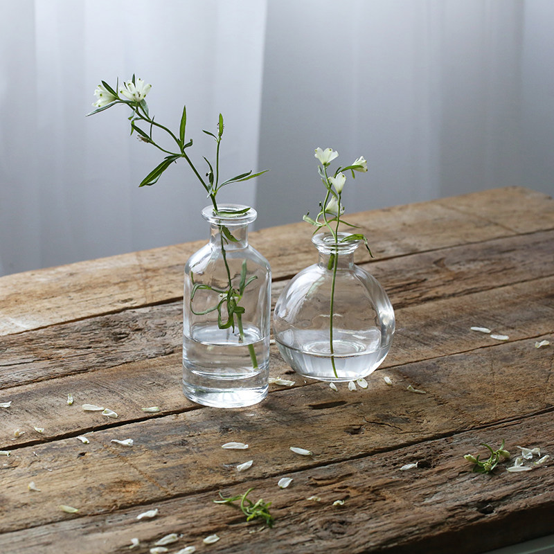 揭秘白夜极光的秘密！谁是光灵界的第一水将？!