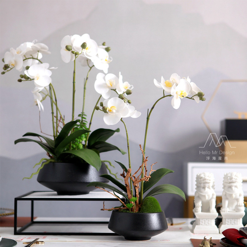 New Chinese Zen Indoor Phalaenopsis Orchid Ornament Modern Home Floral Disc Combination Table Coffee Table Decoration