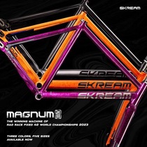 Skream Magnum24 Amethyst Purple Dead Flying Field Single Speed ​​Aluminum Alloy Bike Frame