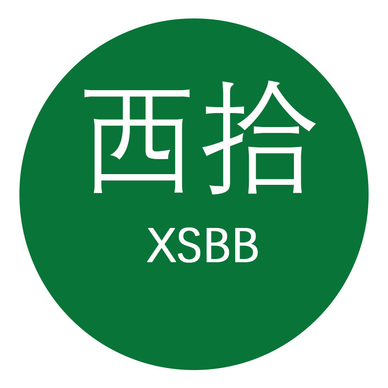 XSBB西拾原创女包