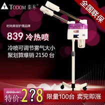 A variety of Taidong beauty instrument double tube nano hot and cold face steamer sprayer Beauty salon family cold spray machine steamer
