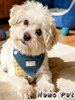 Cute Plaid Denim Dog Scarf Bib Small Dog Decorative Triangle Scarf Pet Accessories Cute Bib
