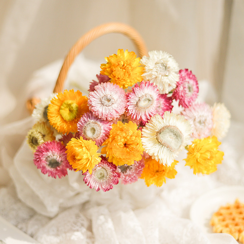 Daisies dry flower bouquets in fresh chaffin chrysanthemum housepiece diy flower room decoration photo props