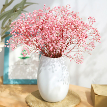 Immortal starry dried flowers ins fresh and simple Yunnan real flower home living room decoration office photo ornaments