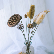 Kapok golden ball pine cone ACORN handmade dried fruit Japanese Zen diy flower arrangement shooting props decoration decoration
