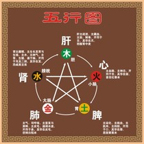 Traditional Chinese medicine human body five elements map wall stickers 5000 years of traditional Chinese Medicine human body health maintenance knowledge map Human body five elements cheats