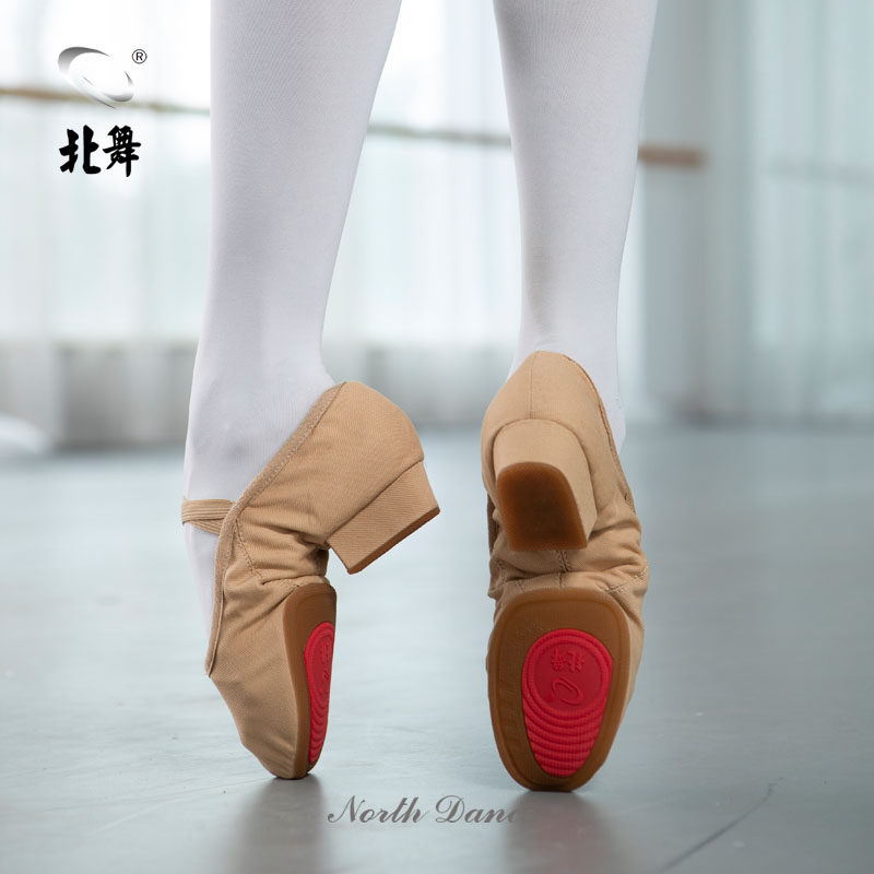 North Dance Canvas Outdoor Practice Shoes Dance Shoes Soft Bottom Teacher Shoes Adult Ballet Shoes National Men And Women Square ~