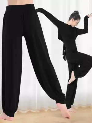 Dance pants practice clothing women's suit Latin dance Chinese modern dance form clothes shirt shirt pants lantern ~