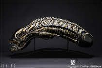 (SOLD) CoolProps X Sideshow 902729 Alien Warrior Skull Standard Edition