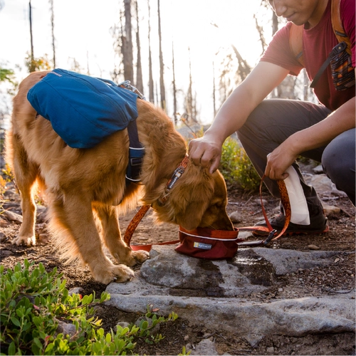 Rafewell Dog Circle Float American Ruffwear Shiba Inu Neck Golden Mao Dog Law Persion Products