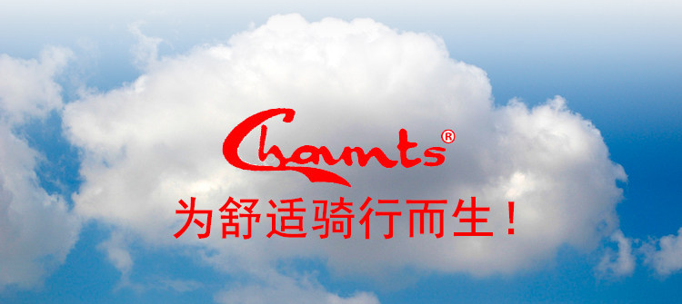 Selle de vélo Mountain Bike CHAUNTS - Ref 2359227 Image 17