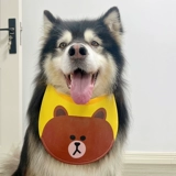 Платные собаки могут стоять на своих нагрудниках, капли воды капали в Самои Аляски Средние собаки летом летом