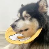 Платные собаки могут стоять на своих нагрудниках, капли воды капали в Самои Аляски Средние собаки летом летом