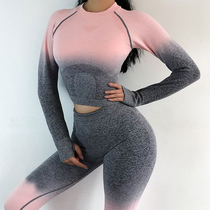 Long-sleeved Yoga suit Seamless Gym suit Long-Sleeve Seamless top Yoga Gym Set