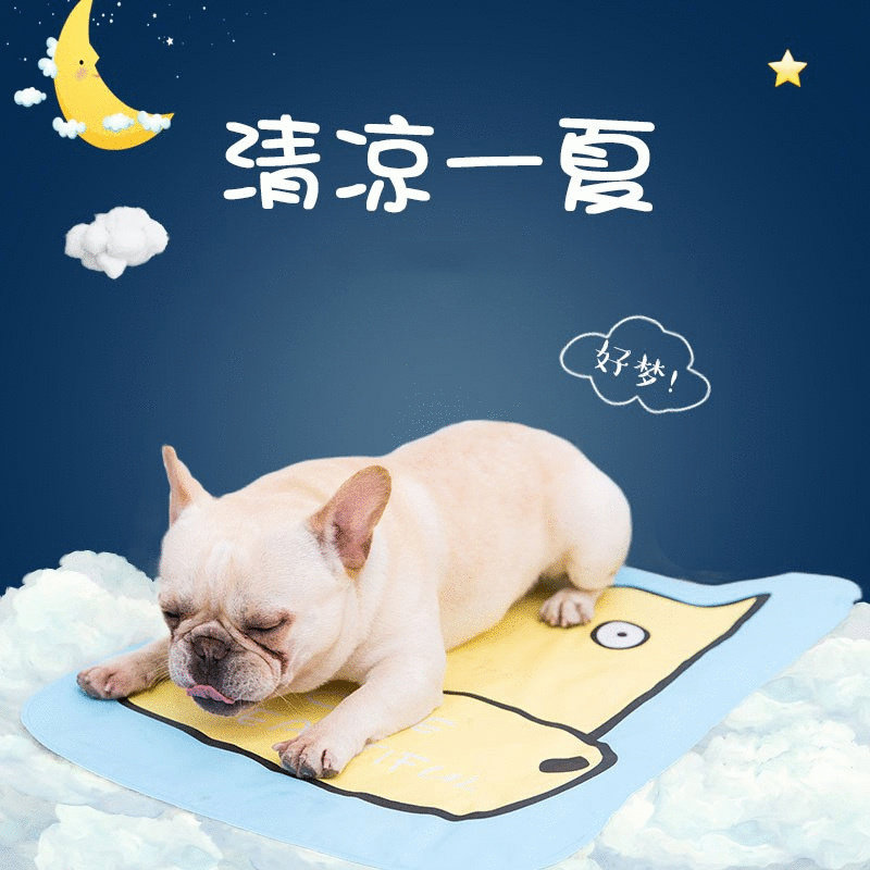 Pets Ice Mat Summer Cool Cat Mat Mat Mat Mat Mat BITE Dog cushions Sleeping Sleeping Sleeping Mat Dog Supplies