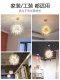 Nordic Master Bedroom Creative Dandelion Chandelier, Warm and Romantic, Popular in Internet Shops, Commercial Model for Beauty Salons and Clothing Stores