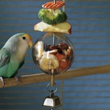 CAITEC Фора для бренда American Paradise Bird на Bell Ball Parrot Утечка Food Toy подходит для маленьких и средних попугаев