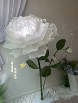 Postage and other allowances