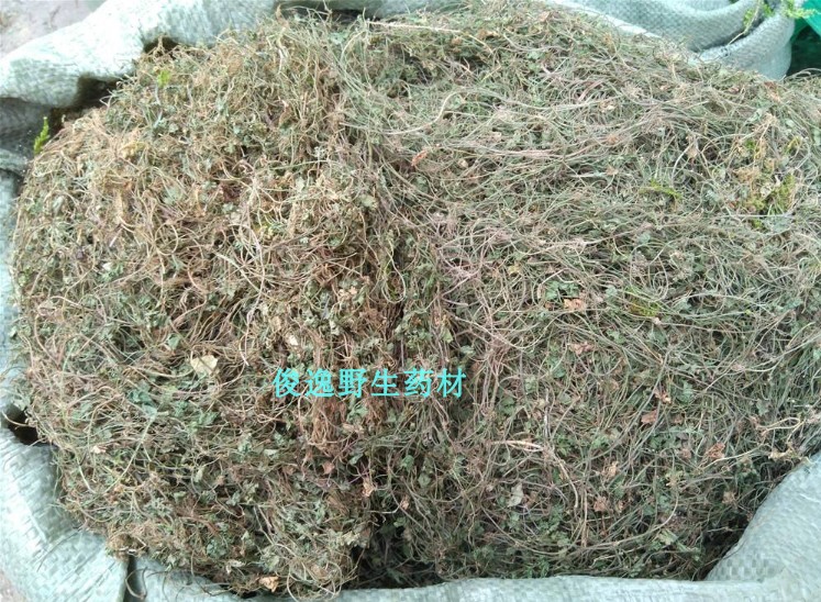 Wild herbs starry sky, coriander, broken copper, dried products, cut goods