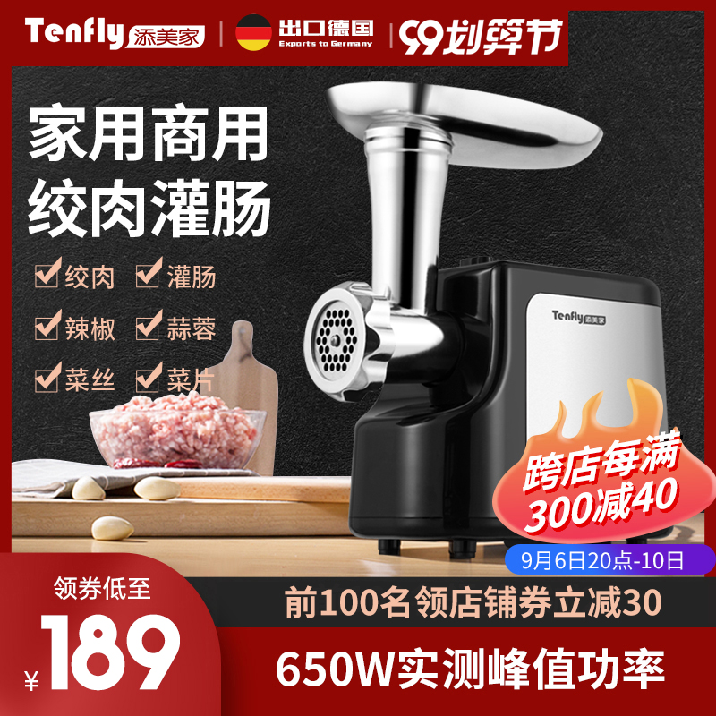 Germany Tenfly home electric meat grinder multifunctional minced meat stuffing stir meat sausage enema machine small commercial