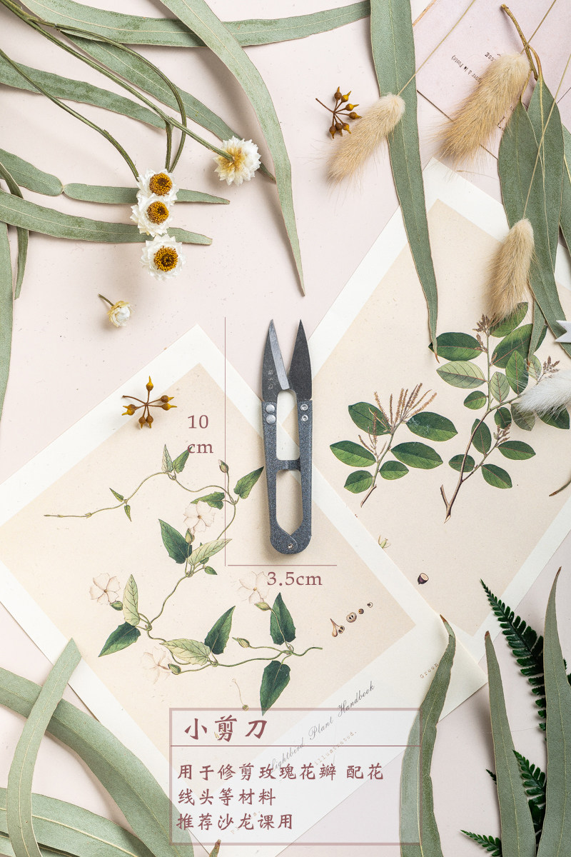 Flower Ji Yongsheng Flower DIY handmade utility tool small pinch scissors