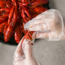 Disposable gloves thickened durable household catering kitchen Food grade CPE sanitary transparent gloves 100 packs