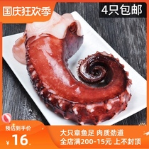 Octopus seafood fresh frozen octopus feet open bag ready-to-eat fresh sashimi large octopus feet sashimi octopus claws