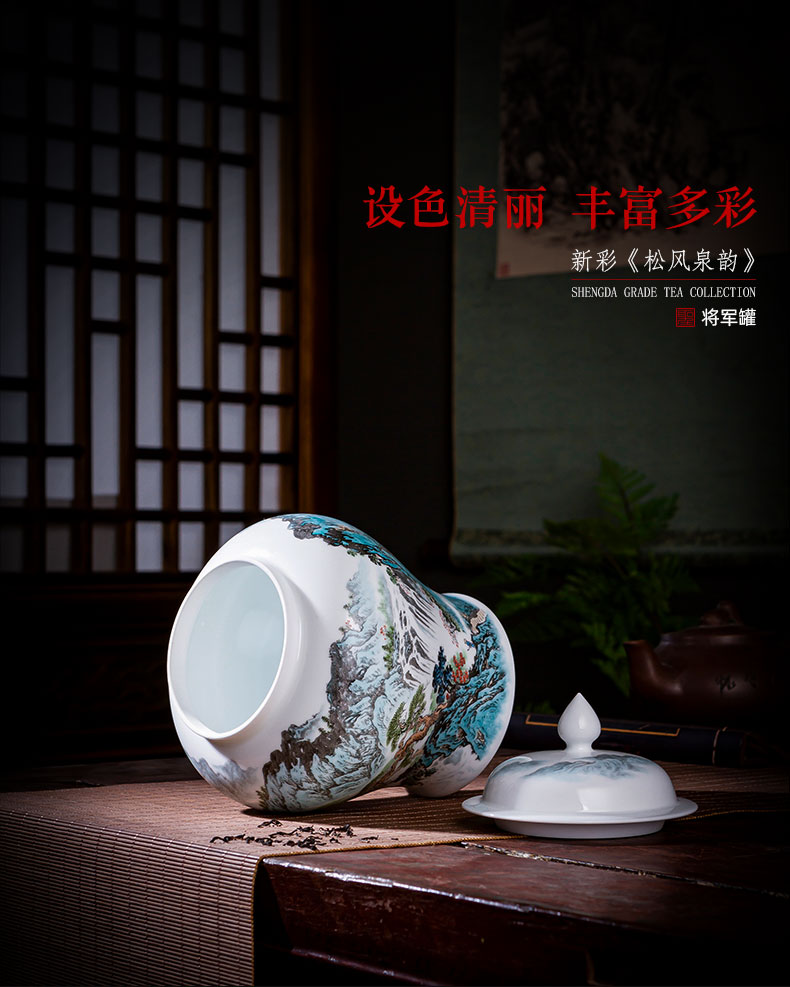 Holy big ceramic tea pot general hand - made new see wind stream store POTS of jingdezhen tea service parts by hand