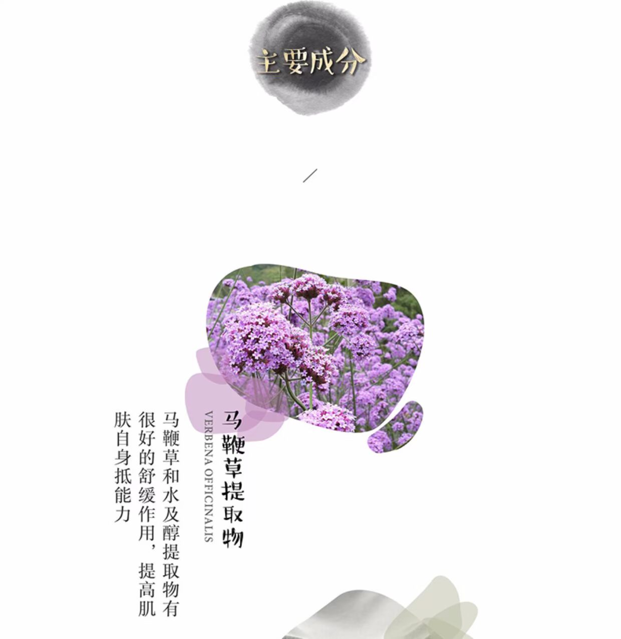 [皎] dưới cây cỏ roi ngựa làm sạch nhẹ 20% axit amin mịn mịn giữ ẩm sâu sữa rửa mặt tro núi lửa